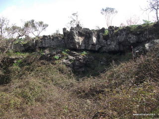 conco di Liricio-24-03-2013 10-35-52